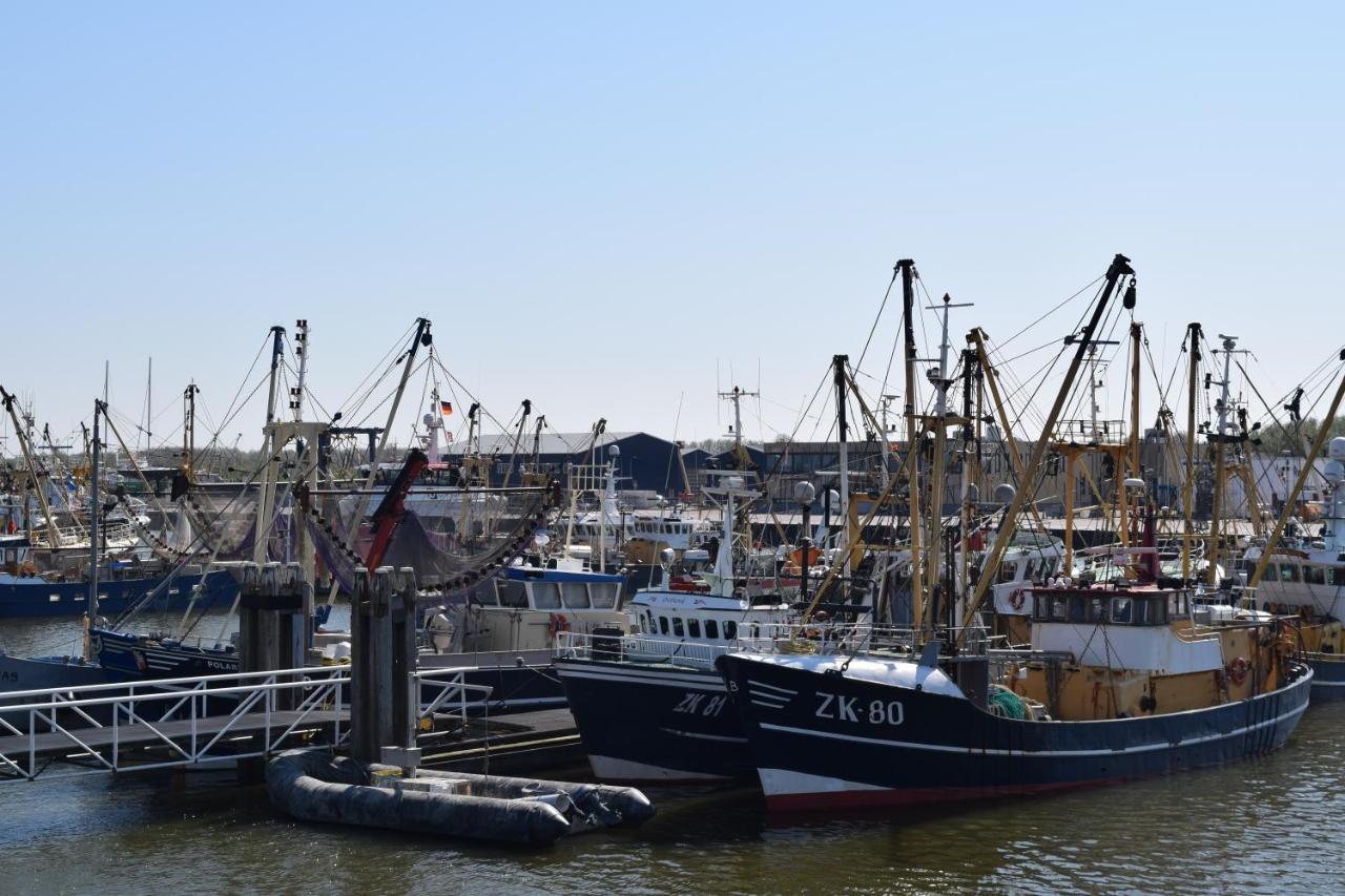 "Het Steechje" In Ie Bij Schiermonnikoog En Ameland Lägenhet Ee Exteriör bild